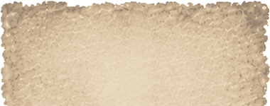 40-Hours-of-40k-Canada-Parchment-Col-T-D-R001
